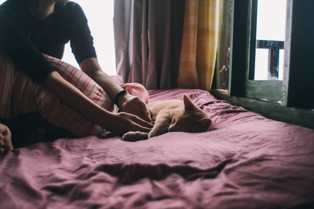 Žena sedí v posteli a hrá sa s mačkou